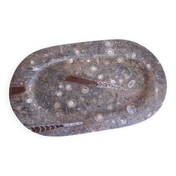 Grand plateau en pierre fossile – ammonites et orthocères