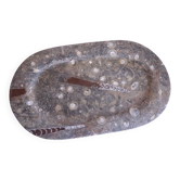 Grand plateau en pierre fossile – ammonites et orthocères