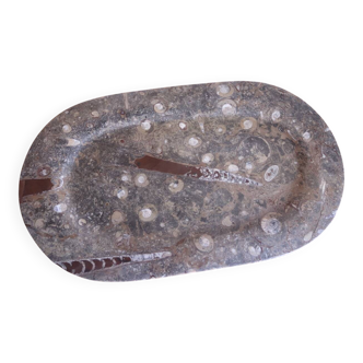 Large fossil stone plateau – ammonites and orthoceras