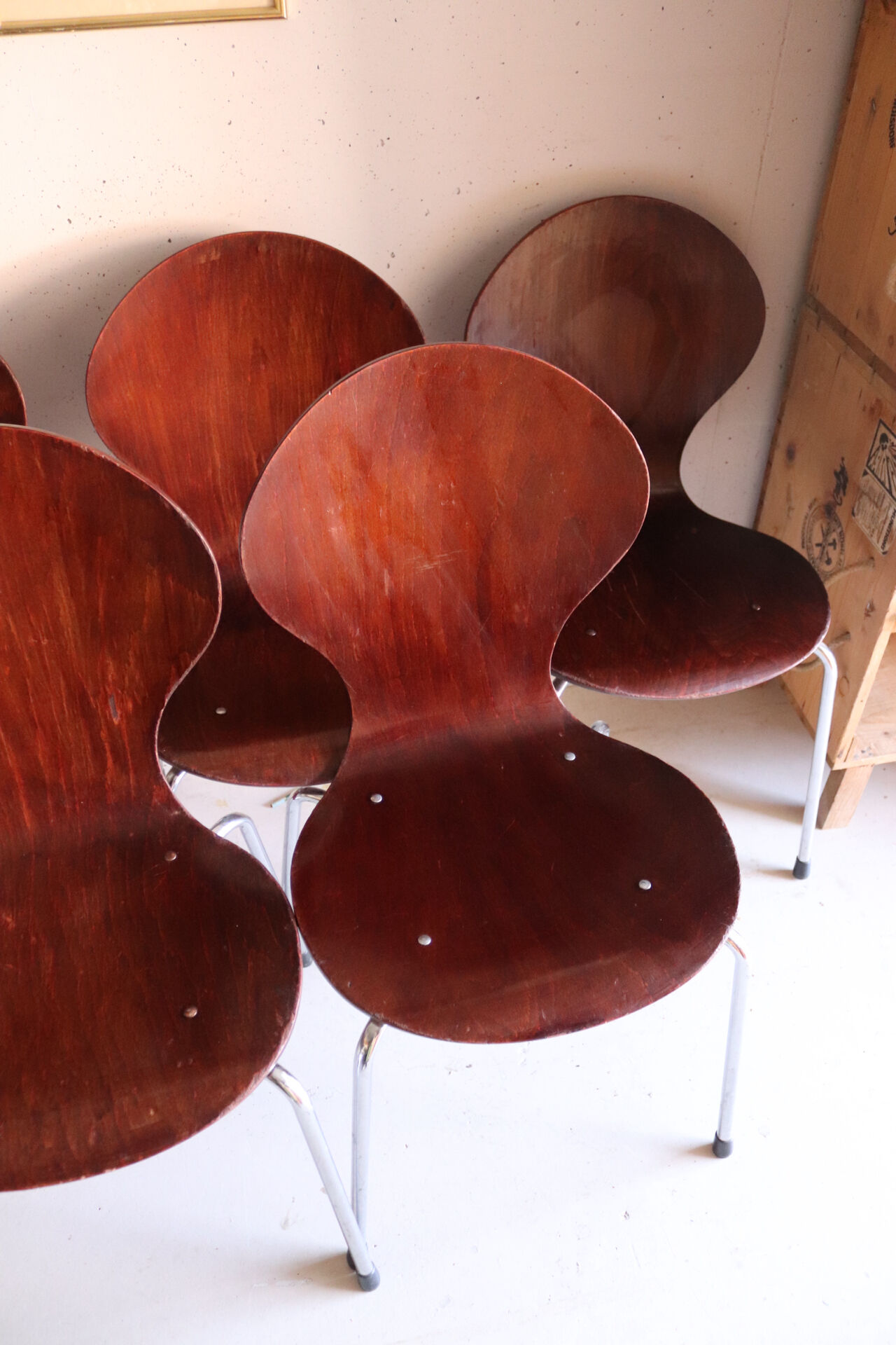 5 chaises style fourmi en contreplaqué moulé et métal chromé, esprit s