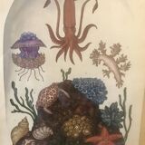 Framed illustration corals under globe