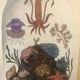 Framed illustration corals under globe
