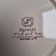 Vintage Sarreguemines agreste plates