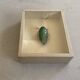 Beetle stuffed under glass