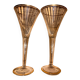2 champagne glasses 80
