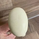 Antique beige porcelain door handle