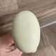 Antique beige porcelain door handle