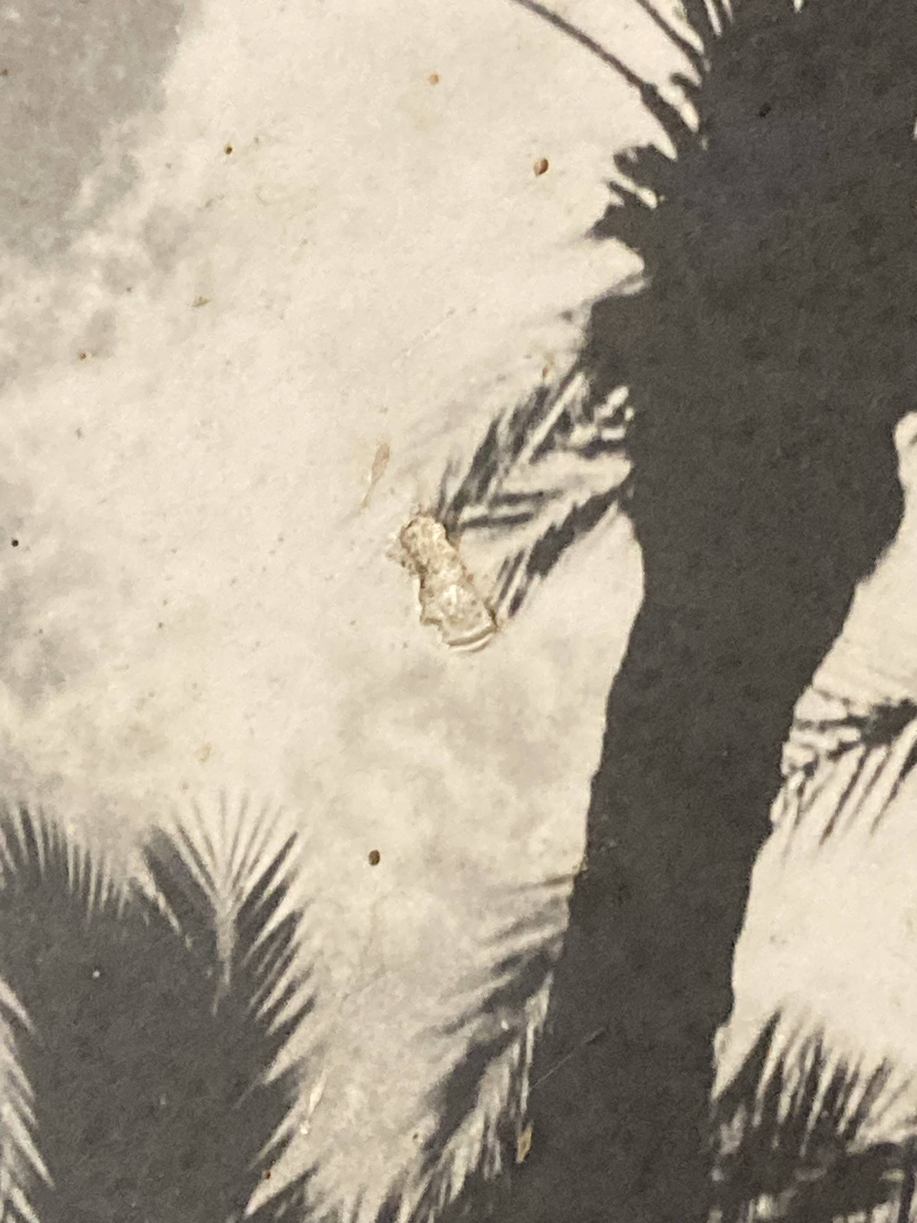 Photographie vintage sur panneau