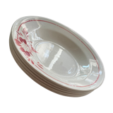 Lot 5 porcelain plates