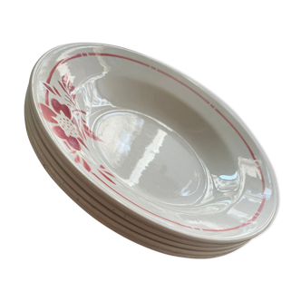 Lot 5 porcelain plates