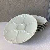 Bareuther Waldsassen Bavaria oyster plates