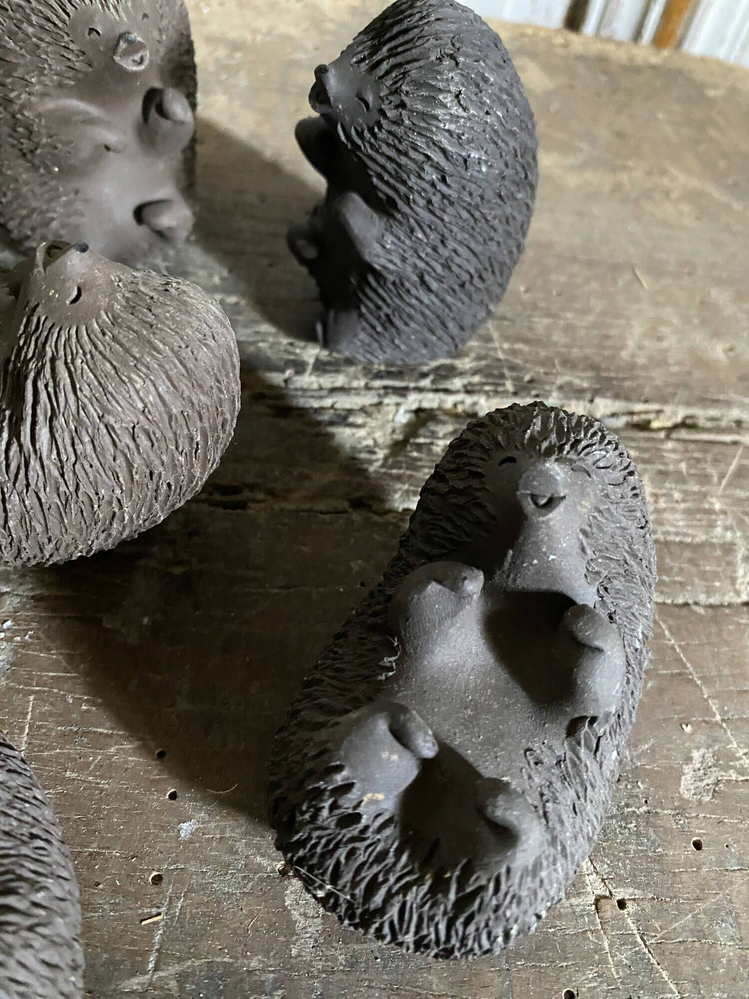 Danish hedgehogs by Ellen Karlsen