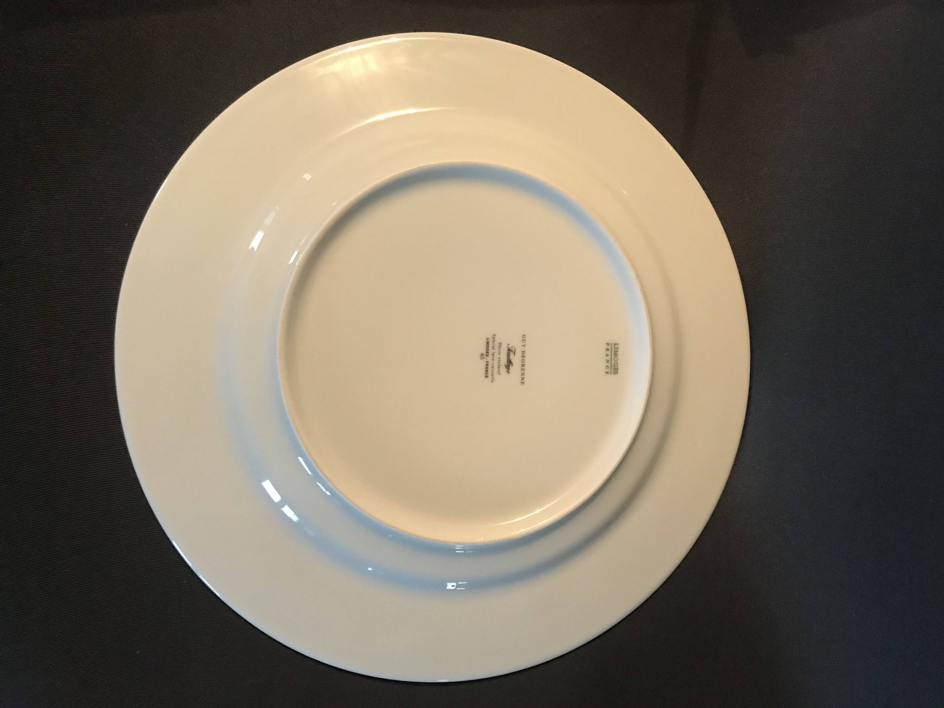 Guy Degrenne porcelain plates