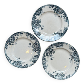 Set of 3 old flat plates Terre de Fer