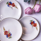 5 poppy plates