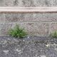 Old farm bench, natural color, vintage