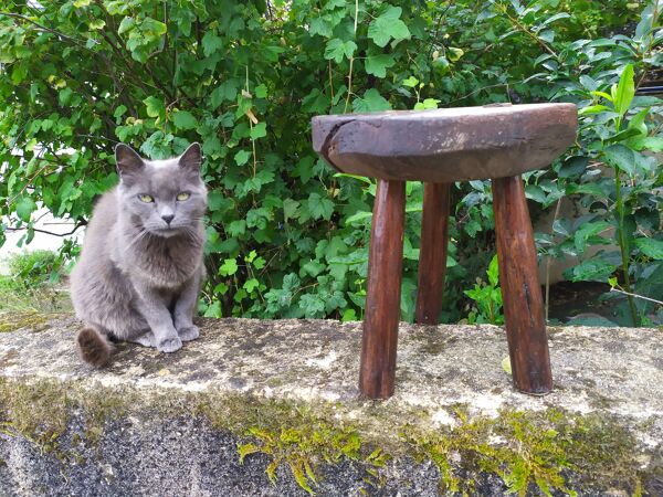 Tabouret tripode en bois brut