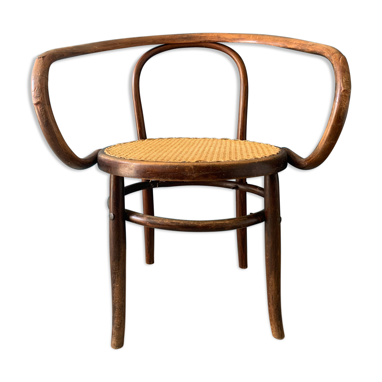 Mundus chair in curved wood