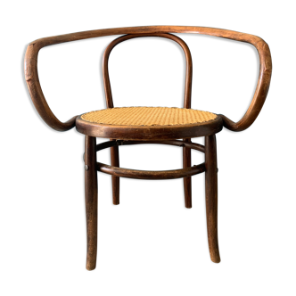 Mundus chair in curved wood
