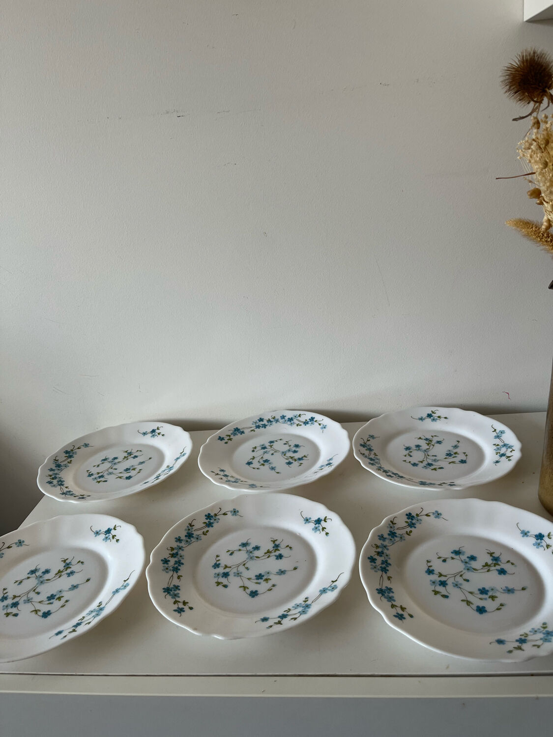 Myosotis dessert plates