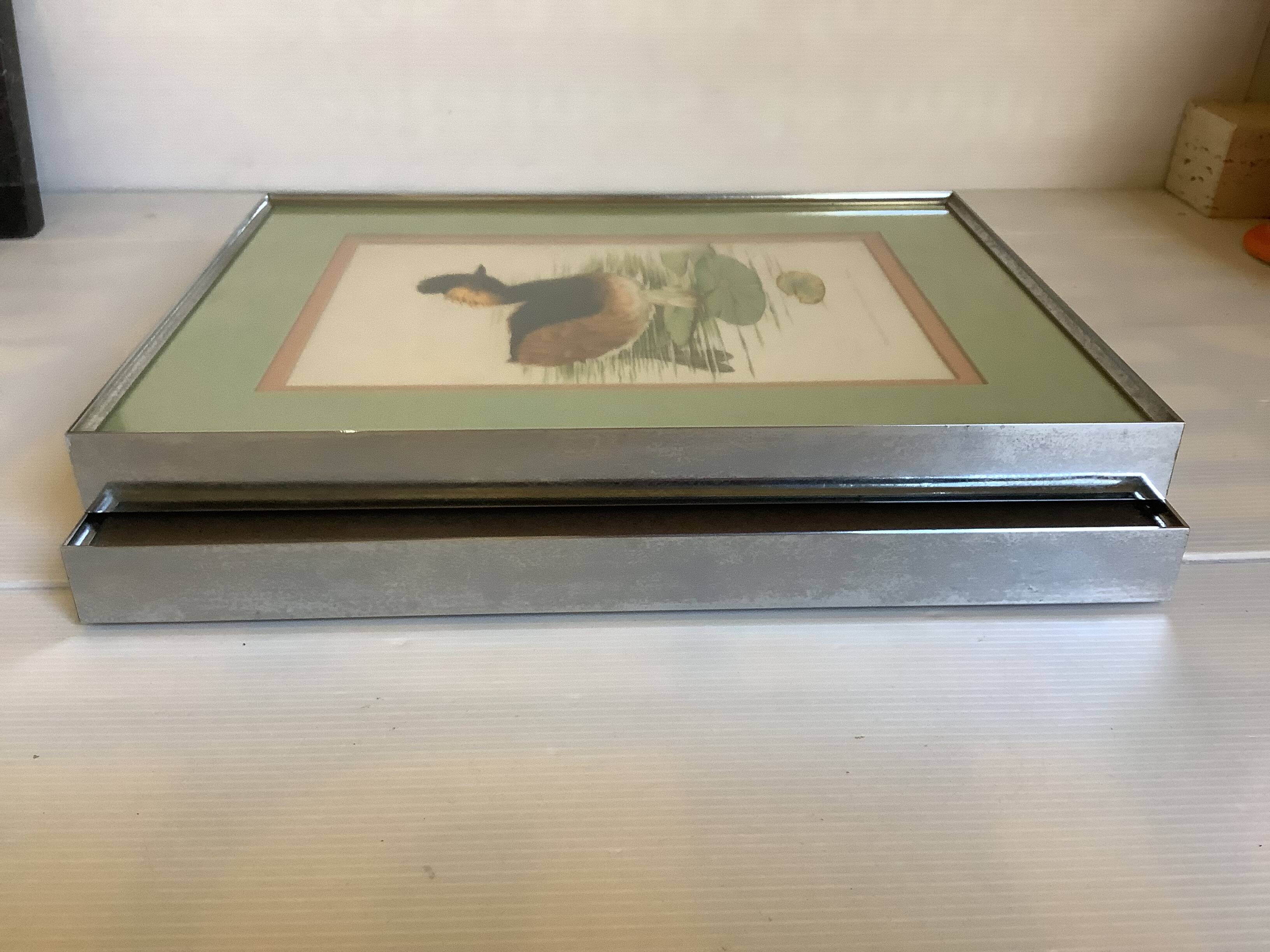 Pair of framed bird illustrations