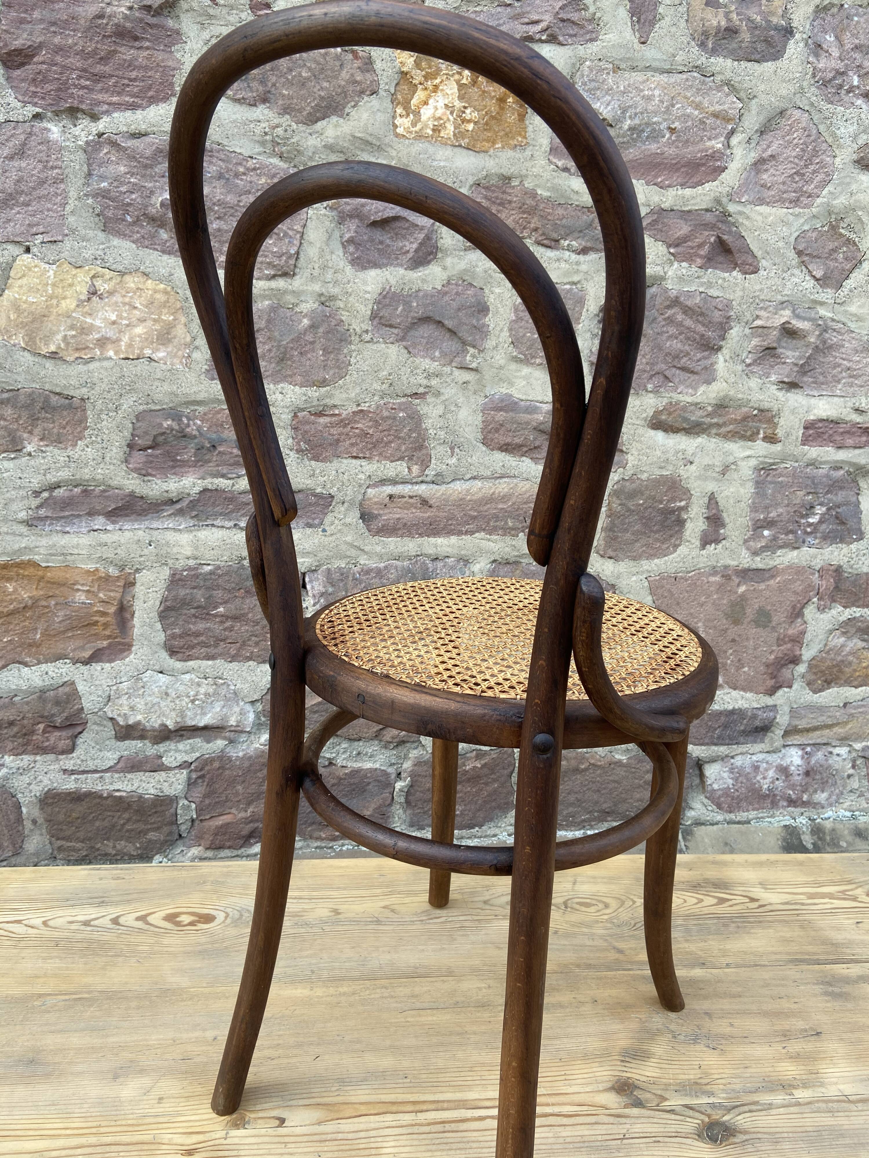 Bistro chair Nr 14 curved wood