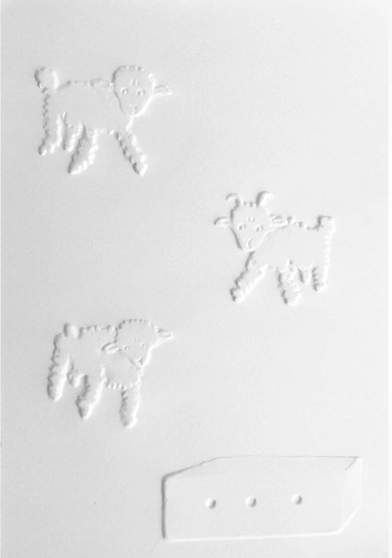 The little prince (the sheep)