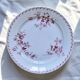 Flat plates from the 19th century, ironstone, signed Maestricht, "Toulouse" collection.