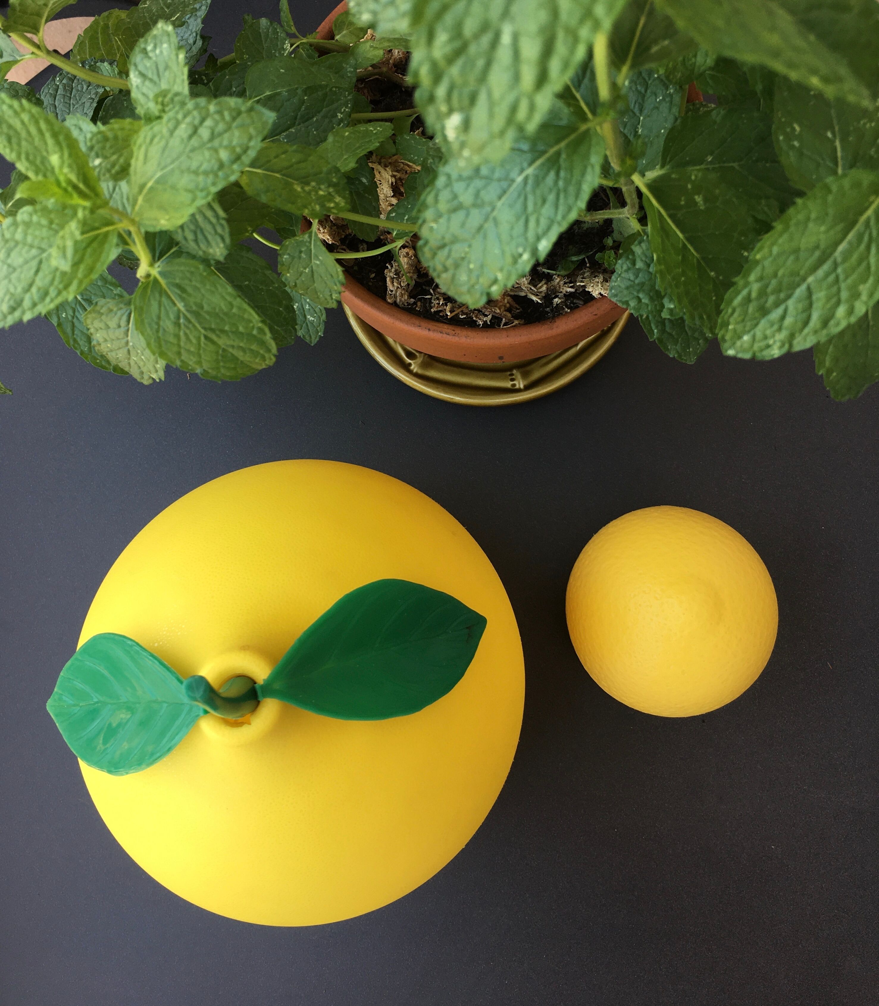 Vintage lemon ice cube tray