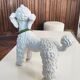 Mid-century poodle