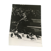 Photo print, man on a bench and pigeons, 80s