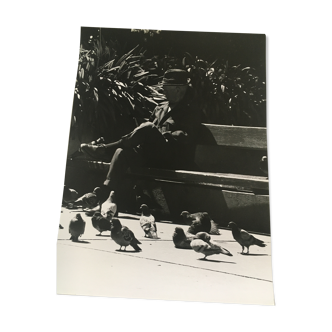 Tirage photo, homme sur un banc et pigeons, années 80