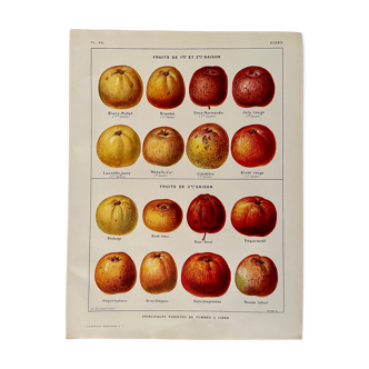 Lithographie sur les pommes à cidre de 1921