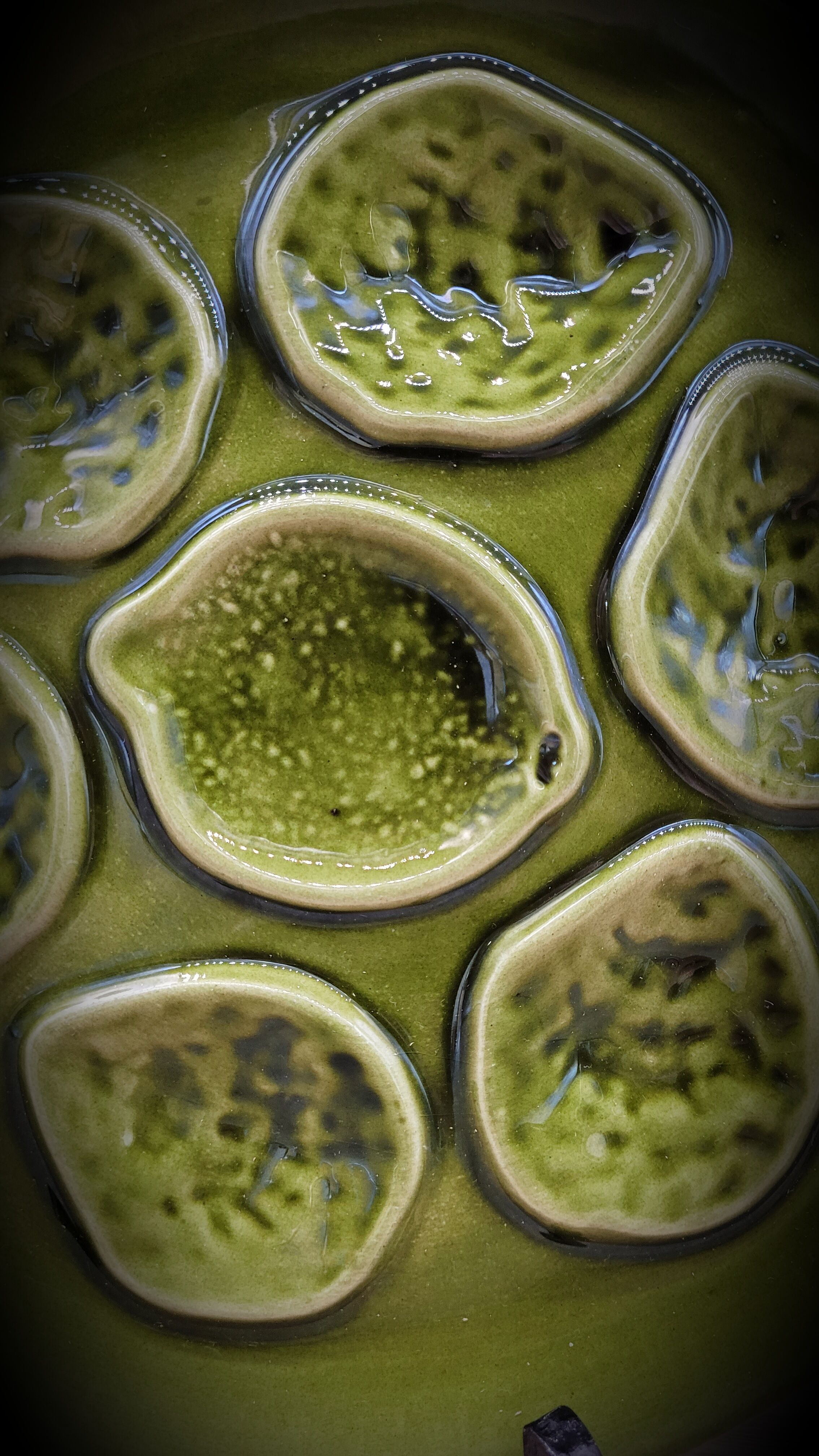 Green oyster plate