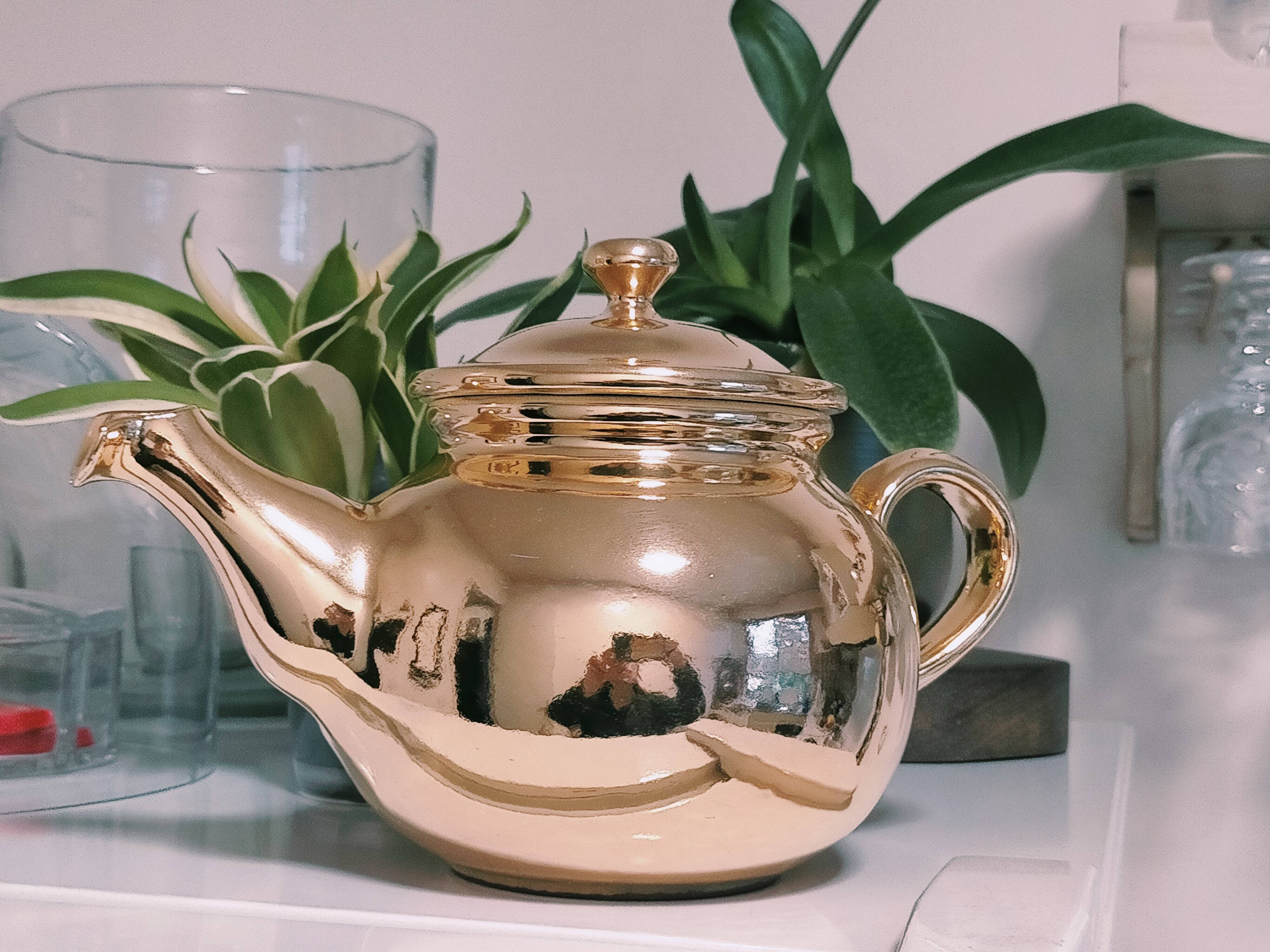 Vintage Habitat Teapot