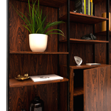 Wall unit Meuroplan by Pierre Guariche for Meurop, Belgium, 1966