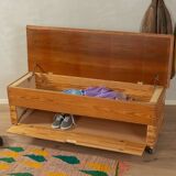 Unique Vaulting Box as Storage Cabinet and Bench