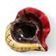Mid-Century Vallauris “Sea Shell” Vide-Poche / Catchall, France, 1950s