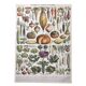 Vintage lithograph plate vegetables and plants from the vegetable garden 1900