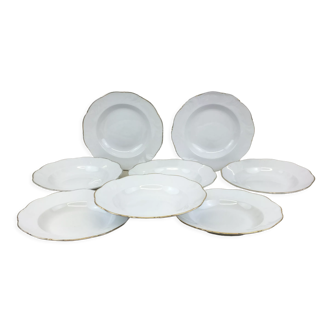 Hollow porcelain plates of pure white and gold