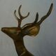 Cerf laiton animalier vintage 70s
