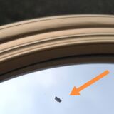 Round mirror tray from the 50s