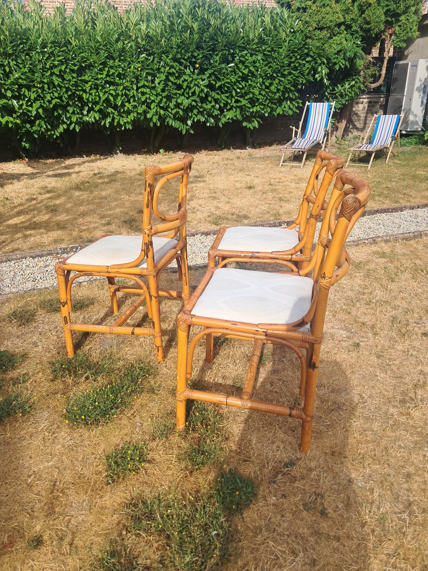 3 chaises en rotin