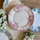 Lot de 10 assiettes plates anciennes en terre de fer dépareillées
