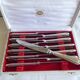 12 sfam dessert knives silver metal 21 cm