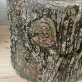 Pair of old rock garden planters in concrete