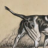 French Charcoal and white chalk drawing "English Pointer Dog Portrait",  1890s