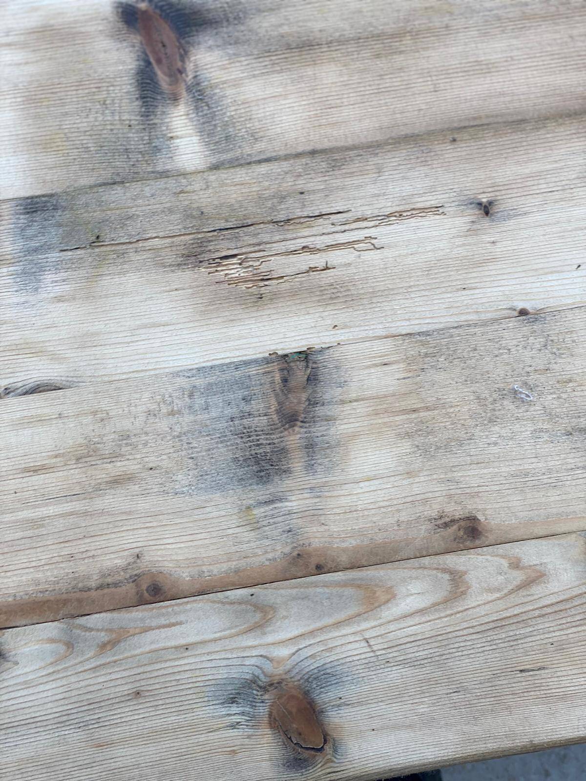 Georges Robert farmhouse table in solid raw wood, 1960, restored