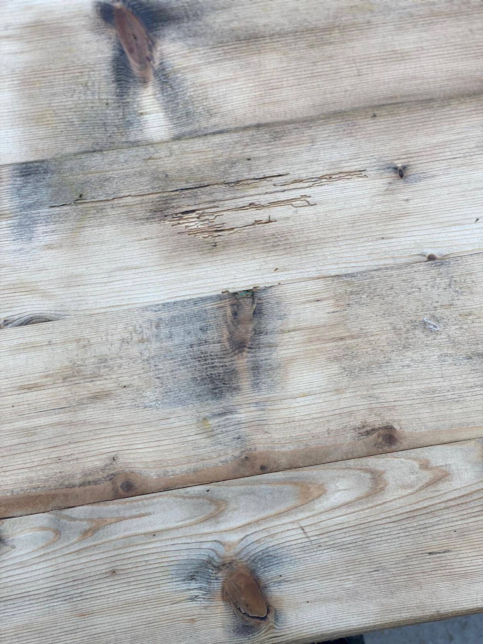 Table de ferme Georges Robert en bois massif brut, 1960, restaurée