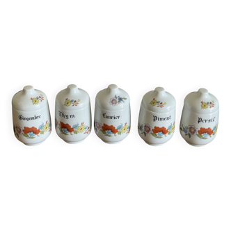 Series of 5 Limoges spice jars